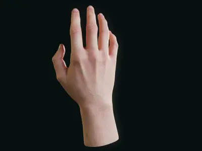  Realistic Human Hand - Rigged 