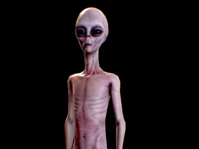 Realistic Alien 4 Grey Low-poly 3D model