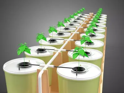 DUTCH BUCKET PLANT VEGETABLE FRUIT HYDROPONIC FARM CULTIVATION 3D model