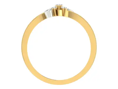 Women Ring  Render 3dm STL OBJ FBX Details 3D print model 288