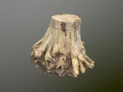 Big Tree Stump Low-poly 3D model