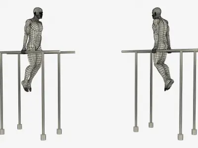  Male Muscular System Chest Dip Anatomy 
