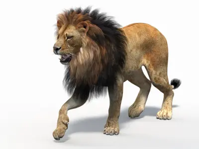  Lion 2 Animated Polygonal Mane 