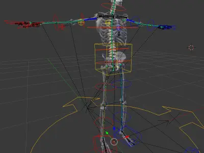  BLENDER Rigged Male and Female Anatomy V07 
