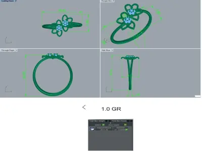 Ring - 01 3D print model