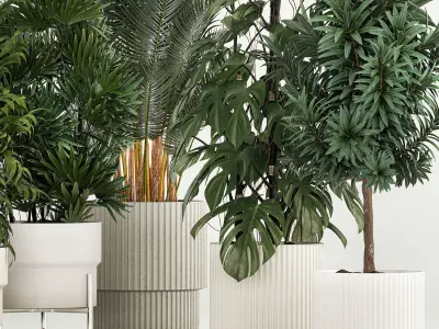 Plants For The Street And Interior In Concrete Pot 1210 3D model