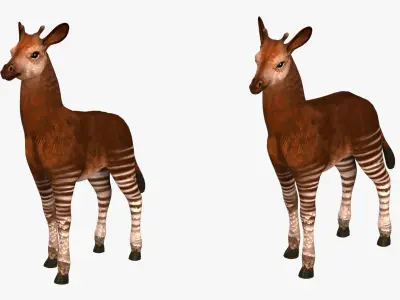 Okapi  rig  high-poly  textured 3D model