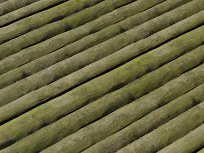 Moss Toned Driftwood Poles PBR Texture 4K Texture