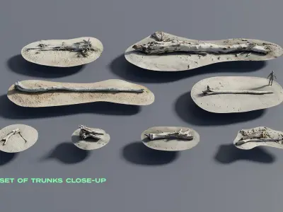 Coastal Environment Kitbash Set 3D model