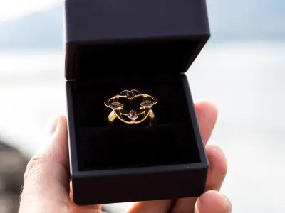 Sapucai Ring 3D Model Architectural Gold 3D print model