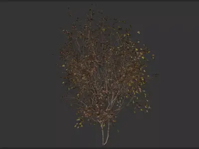 High quality Cherry Tree 01 Winter 3D model