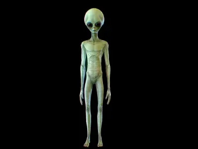 Realistic Alien 2 Gray Low-poly 3D model