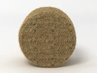 Hay Bale 2 3D model
