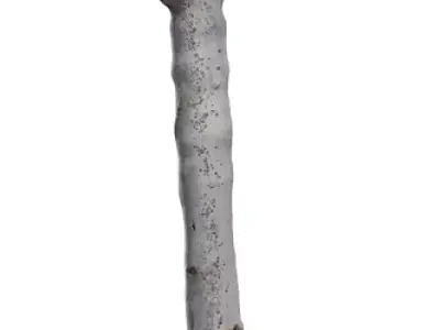 Realistic Desert Aloe Tree  Low-poly 3D model