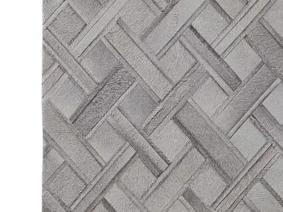 TIKA COWHIDE RUG gray 3D model