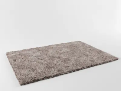 Carpet shaggy rug 3D model