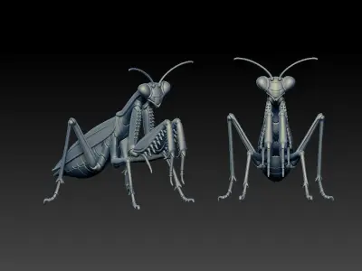 Mantis statue - insect model - decor - 3D print 3D print model