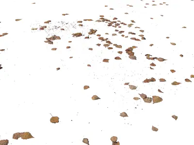 Autumn leaves Decal scan 3D model