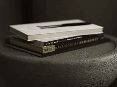 NConcept 02 3D model