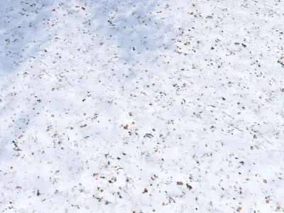 Snow with autumn leaves 3D model