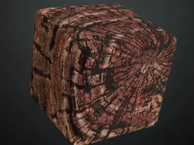Charred Ancient Tree Log End PBR Seamless Texture