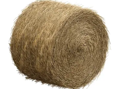 Hay in rolls Straw in rolls 3D model