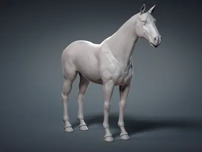  Horse Base Mesh 
