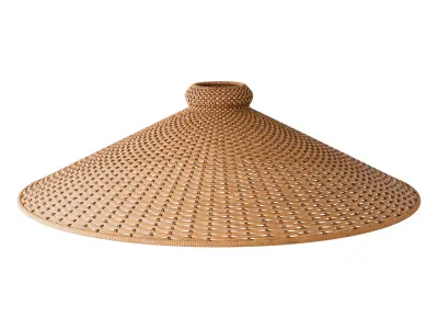 Tisse Oversized Woven Rattan Flush Mount Light 3D model