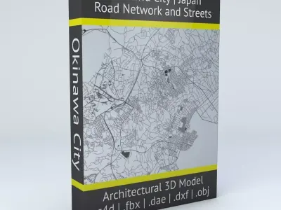 Okinawa City Road Network and Streets 3D model