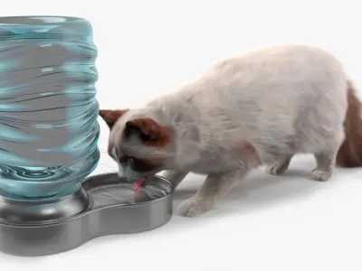  Ragdoll Cat with Pet Drinker Fur for Maya 