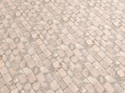 Block Paving 03 - Photogrammetry based Environment Texture Texture
