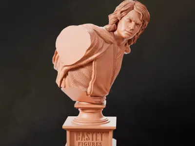 Anakin Bust I Star Wars 3D print model