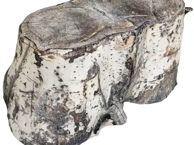 Set of stump models 3D model