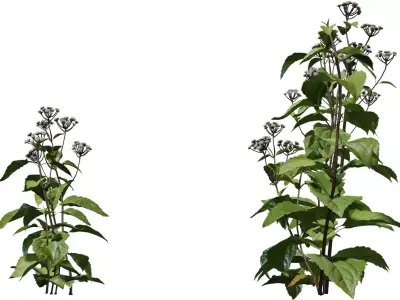 Game Ready Foliage Pack  Low-poly 3D model