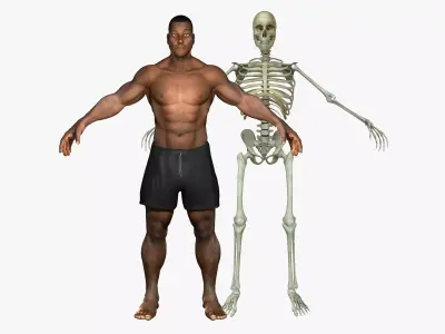 Muscular African American Male With Full Body Skeleton 3D model