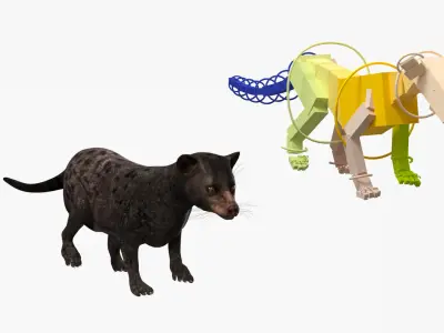  Asian Palm Civet Musang Dark Coat Rigged 