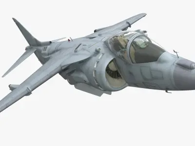  Multirole Combat Aircraft Flying Unarmed 