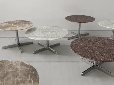 DS 343 61 and DS 343 62 Coffee Tables 3D model