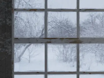 Exfoliated Wood Window 3D model