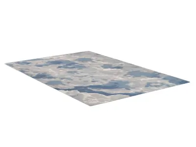 Cirrus RUG 3D model