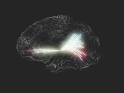 Brain Impulses Stylized Animation 3D model