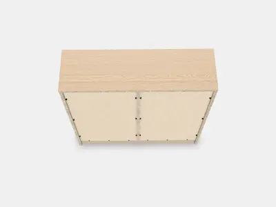 TONSTAD Sliding door display cabinet 3D model