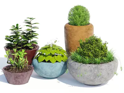 Mundo and Faceted 3D model