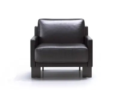 DS-77 Armchair 3D model