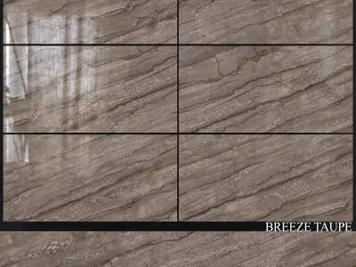 Decovita Breeze Taupe 600x1200 3D model