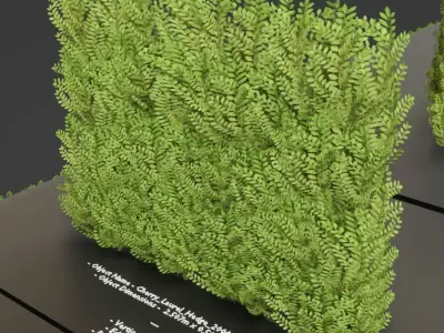 Cherry Laurel Hedge Package  Low-poly 3D model