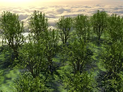 Forest Mountain Low-poly 3D model