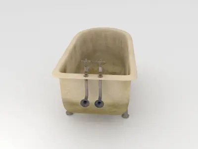 Dirty Bath 3D model