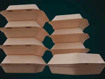 Cardboard Disposable - Food Container 3D model