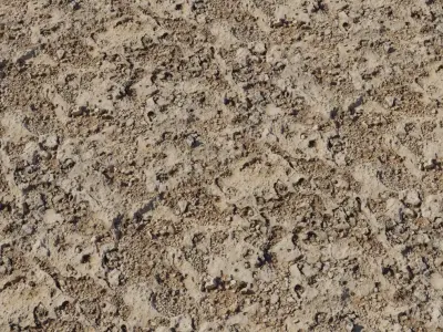 Sandy Mud with Coarse Aggregate Texture